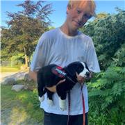 Mathe Nachhilfe für alle Klassen bis zur Oberstufe